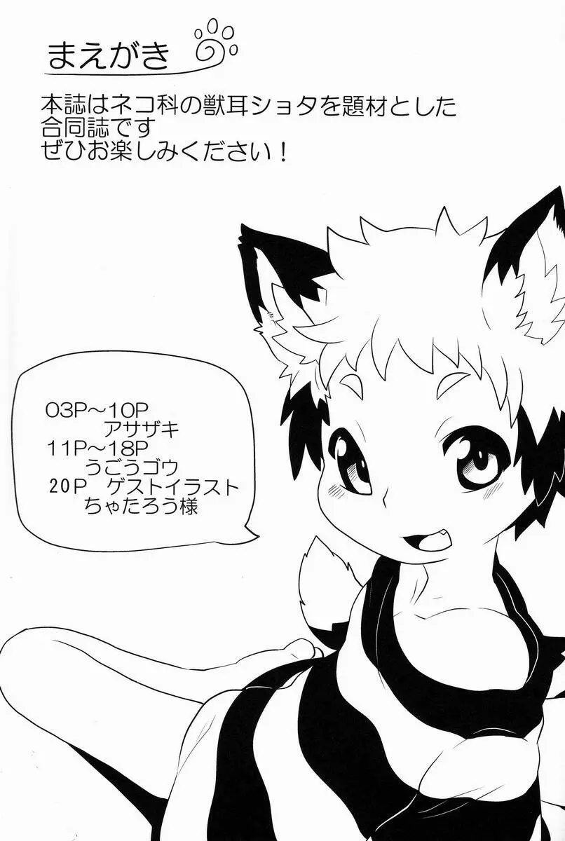 にゃんふぇす 2ページ