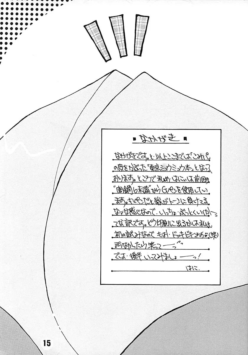 桃色前線発情中 14ページ