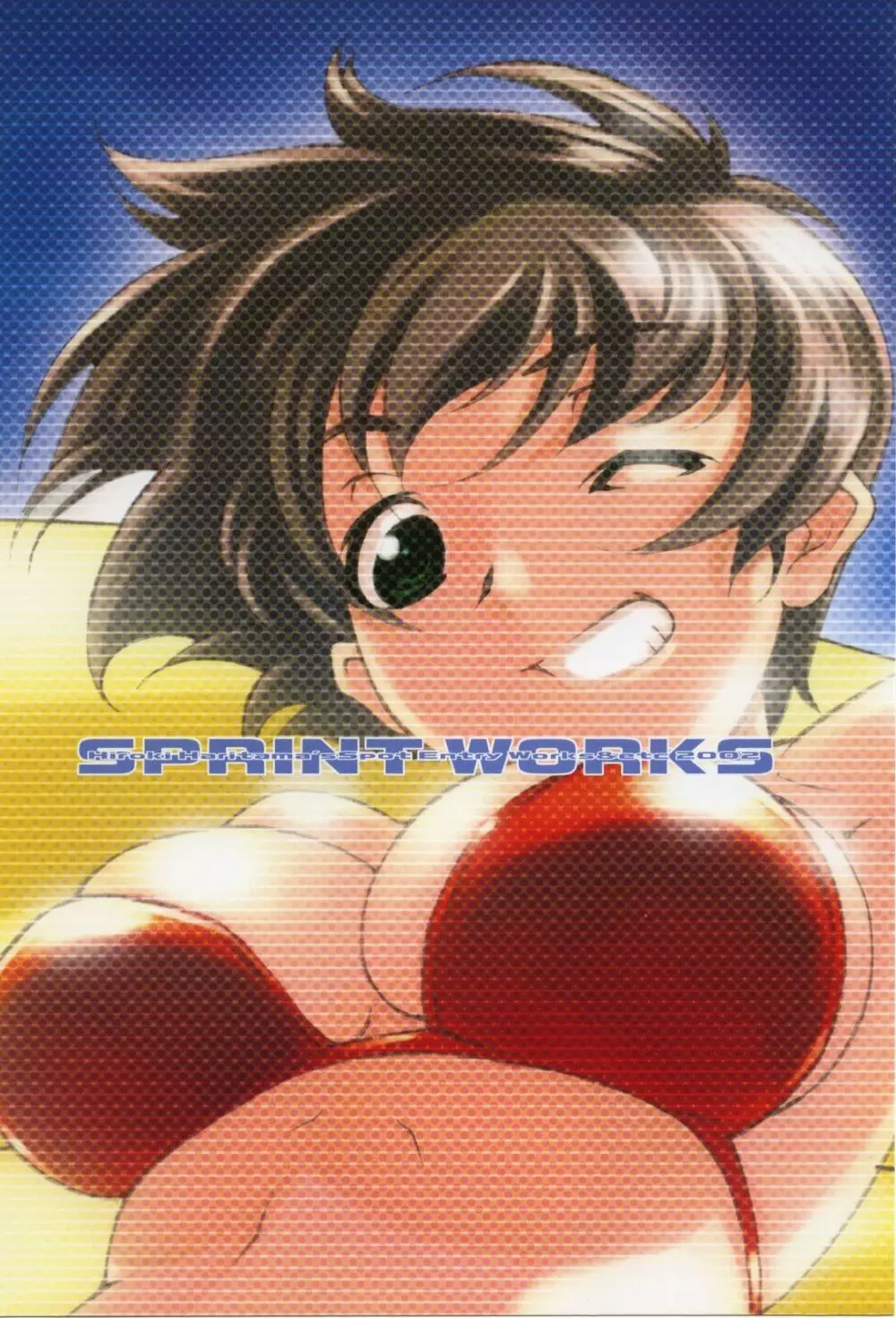 SPRINT WORKS