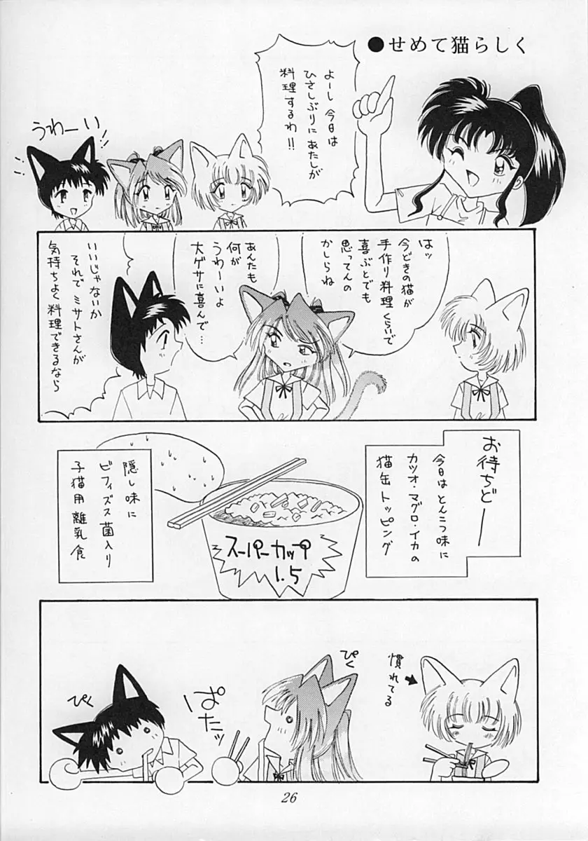 えばねこ 25ページ