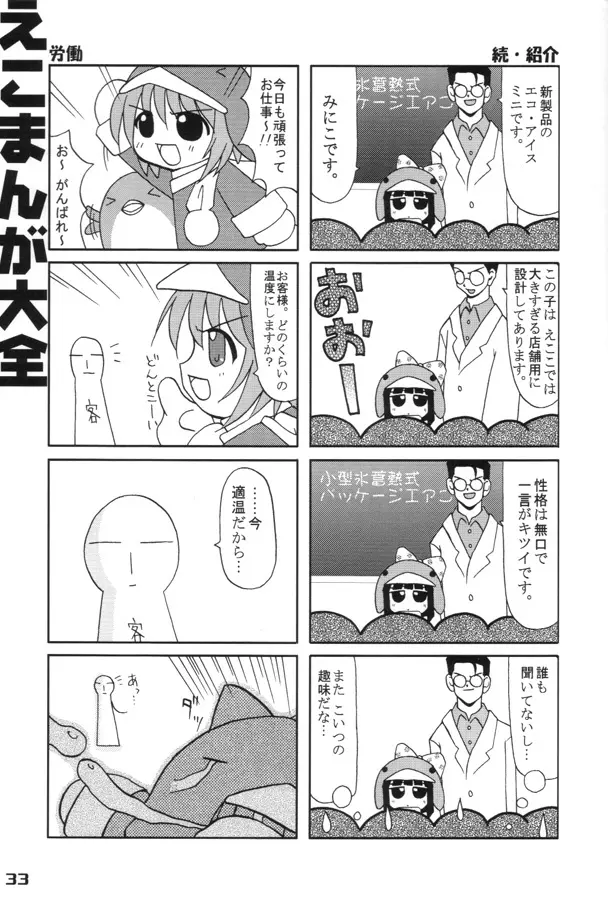 エココな本 32ページ