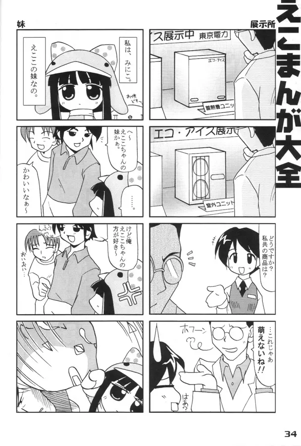 エココな本 33ページ