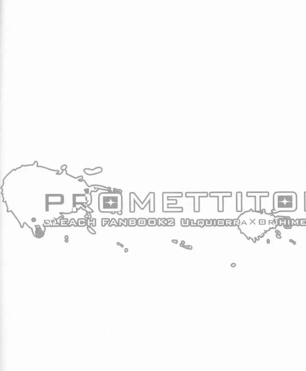 PROMETTITORE 40ページ