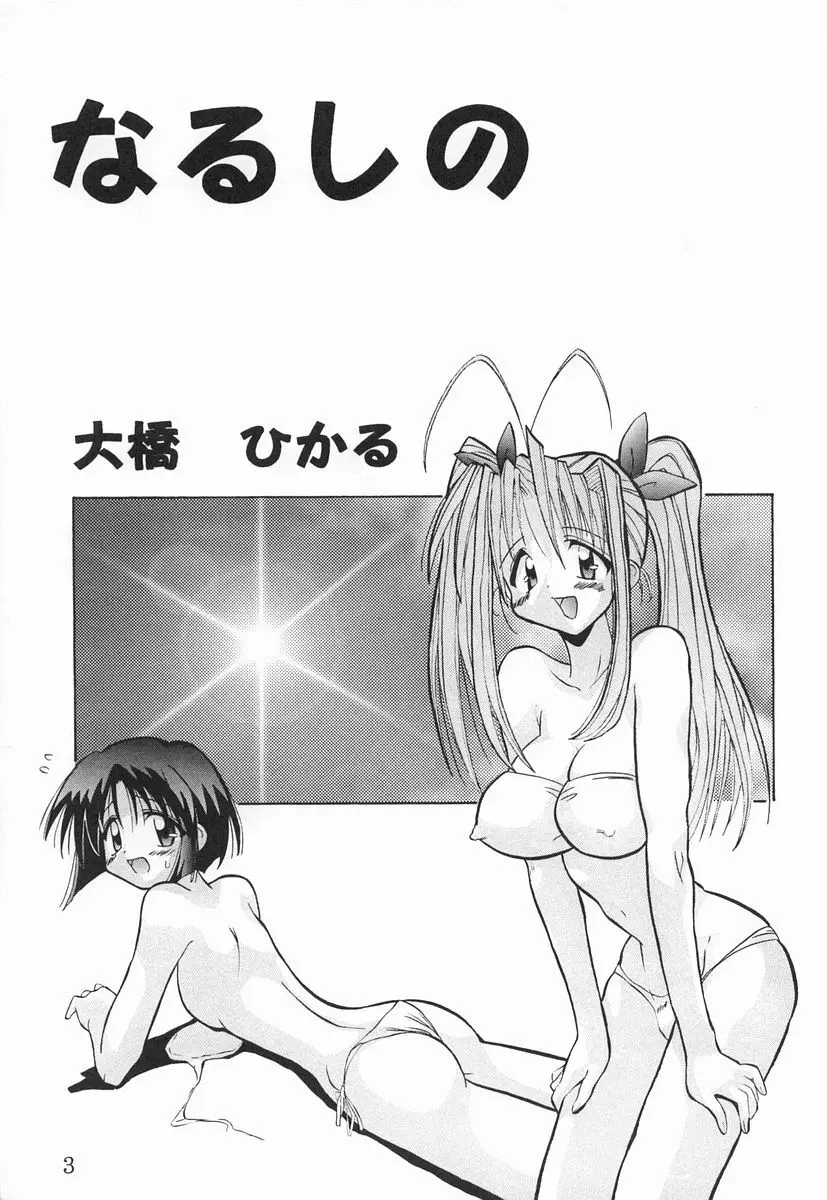 なるしの 2ページ