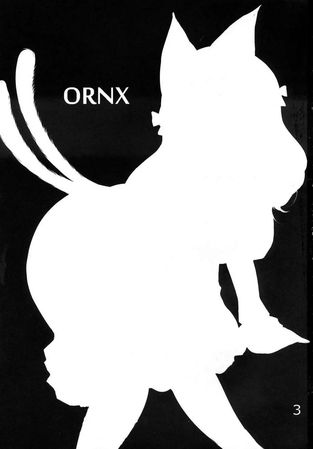 ORNX 2ページ