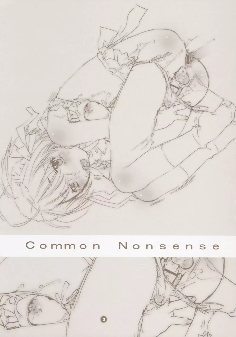 Common Nonsense 3ページ