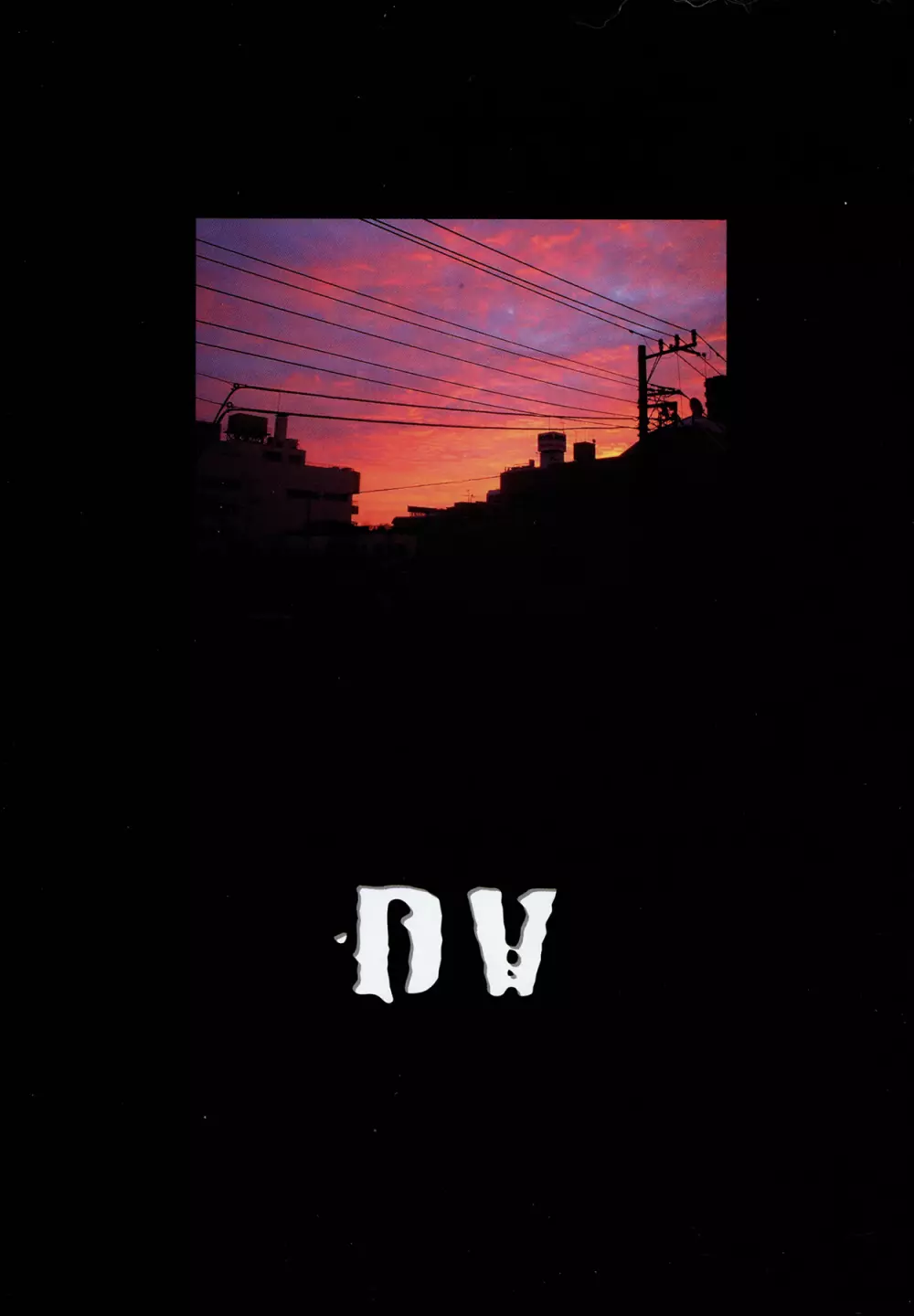 DV 3ページ