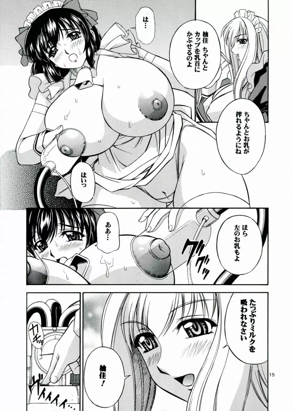 DOLLS DIARY 6 15ページ