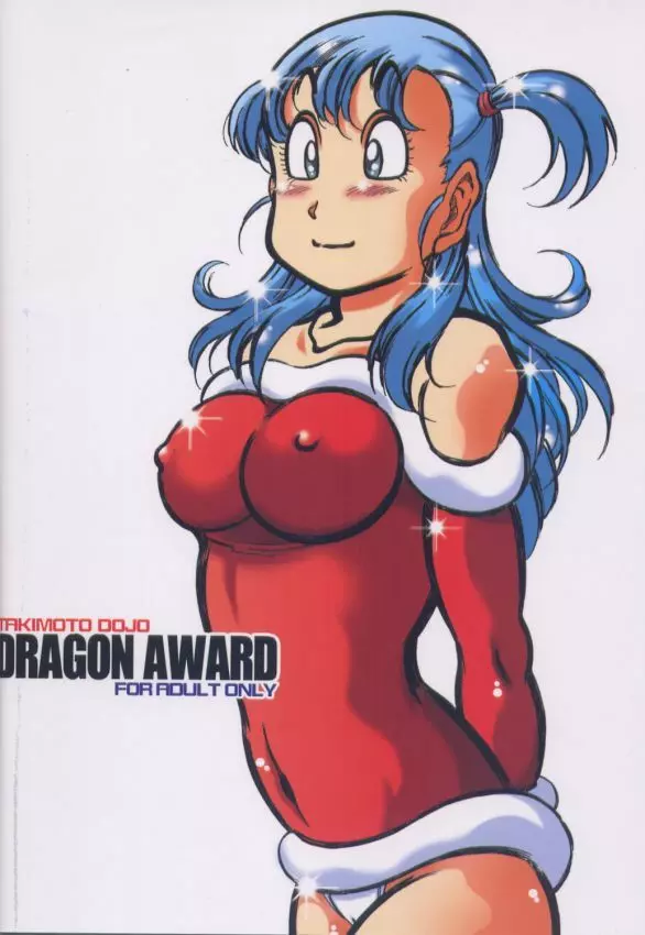 DRAGON AWARD 33ページ