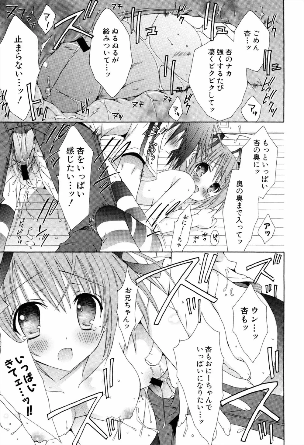 僕と姉と妹と 19ページ