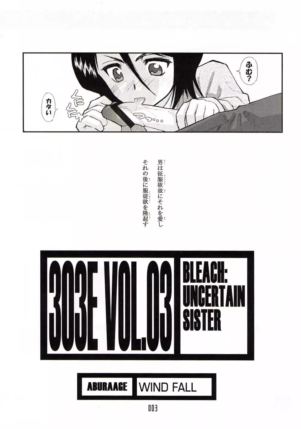 303e Vol.03: Bleach Edition 2ページ