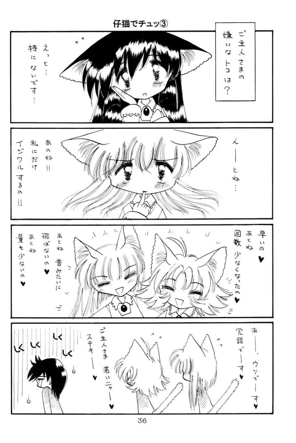 仔猫でチュッ 3 34ページ