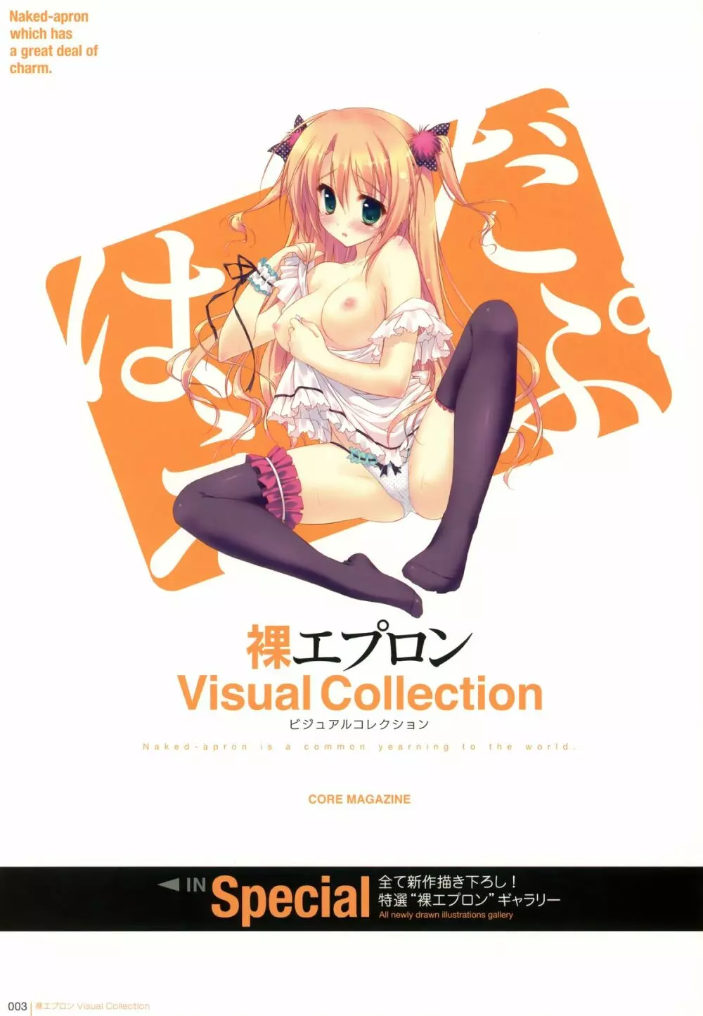 裸エプロンVisual Collection 2ページ