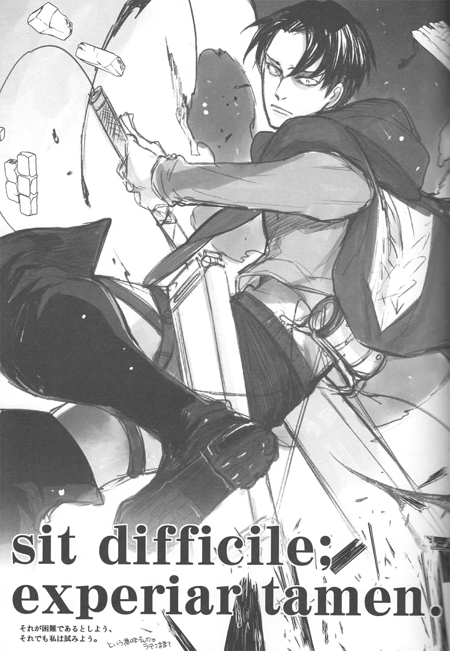 sit difficile; experior tamen. 39ページ