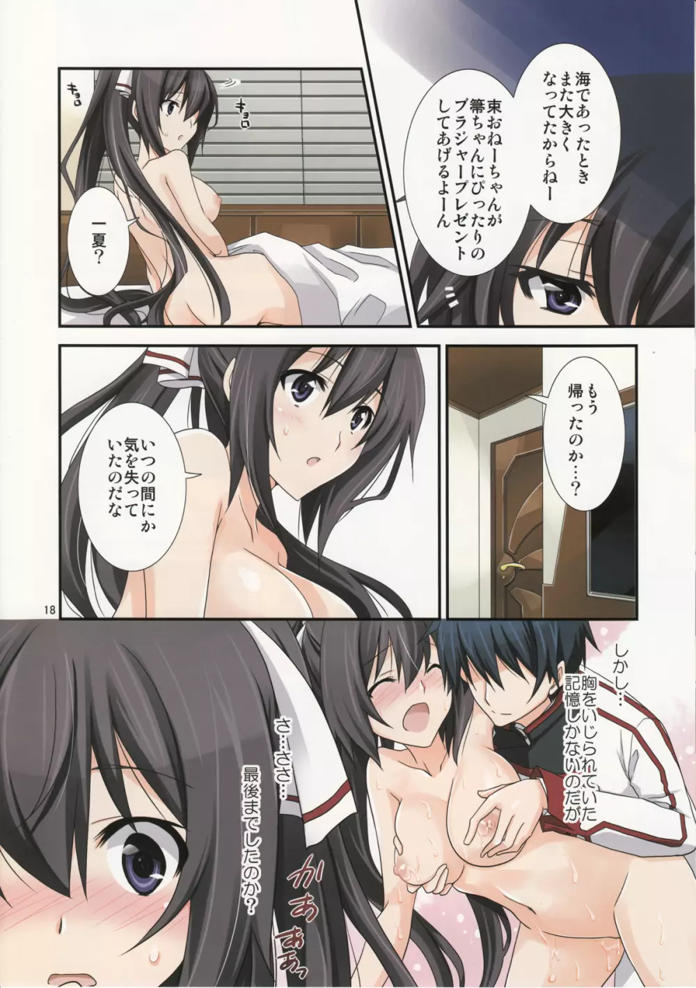 Burst Up！Infinite Stratos FAN BOOK 17ページ