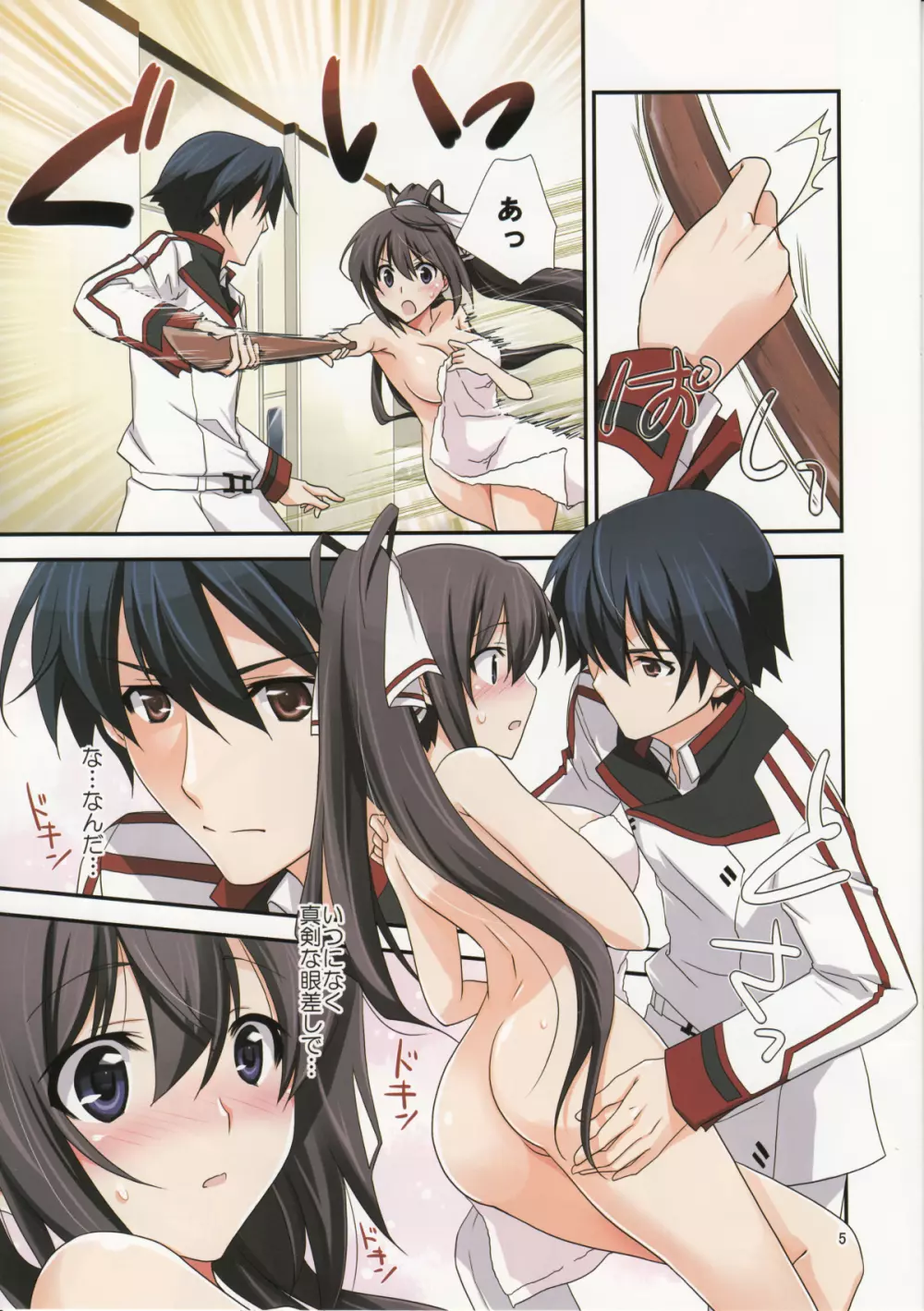 Burst Up！Infinite Stratos FAN BOOK 5ページ