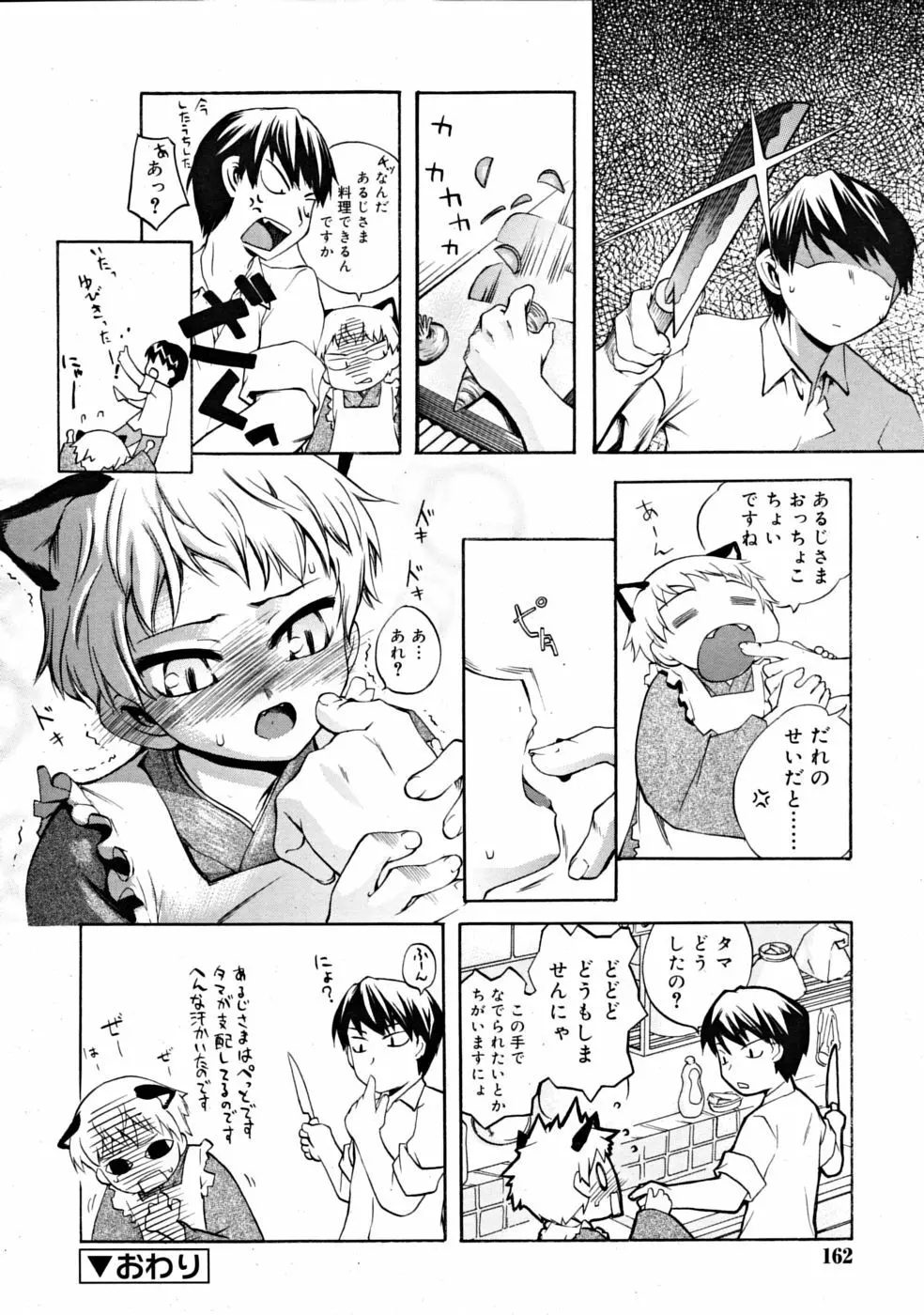 COMIC RiN [2008-11] Vol.47 162ページ