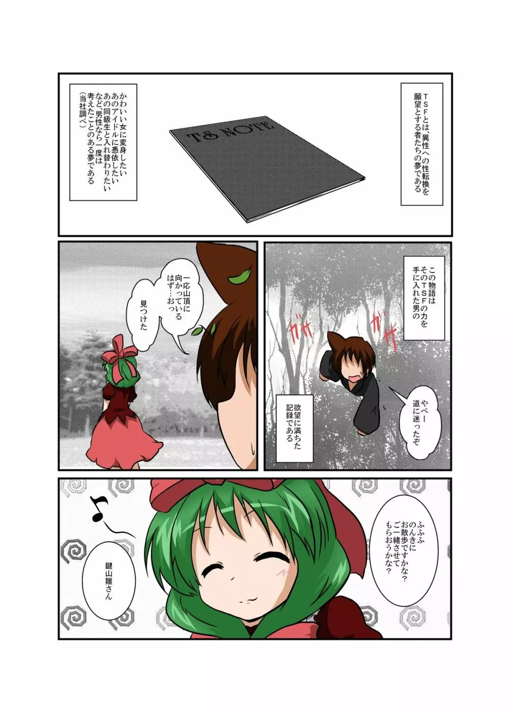 東方ＴＳ物語～鍵山雛編～ 4ページ