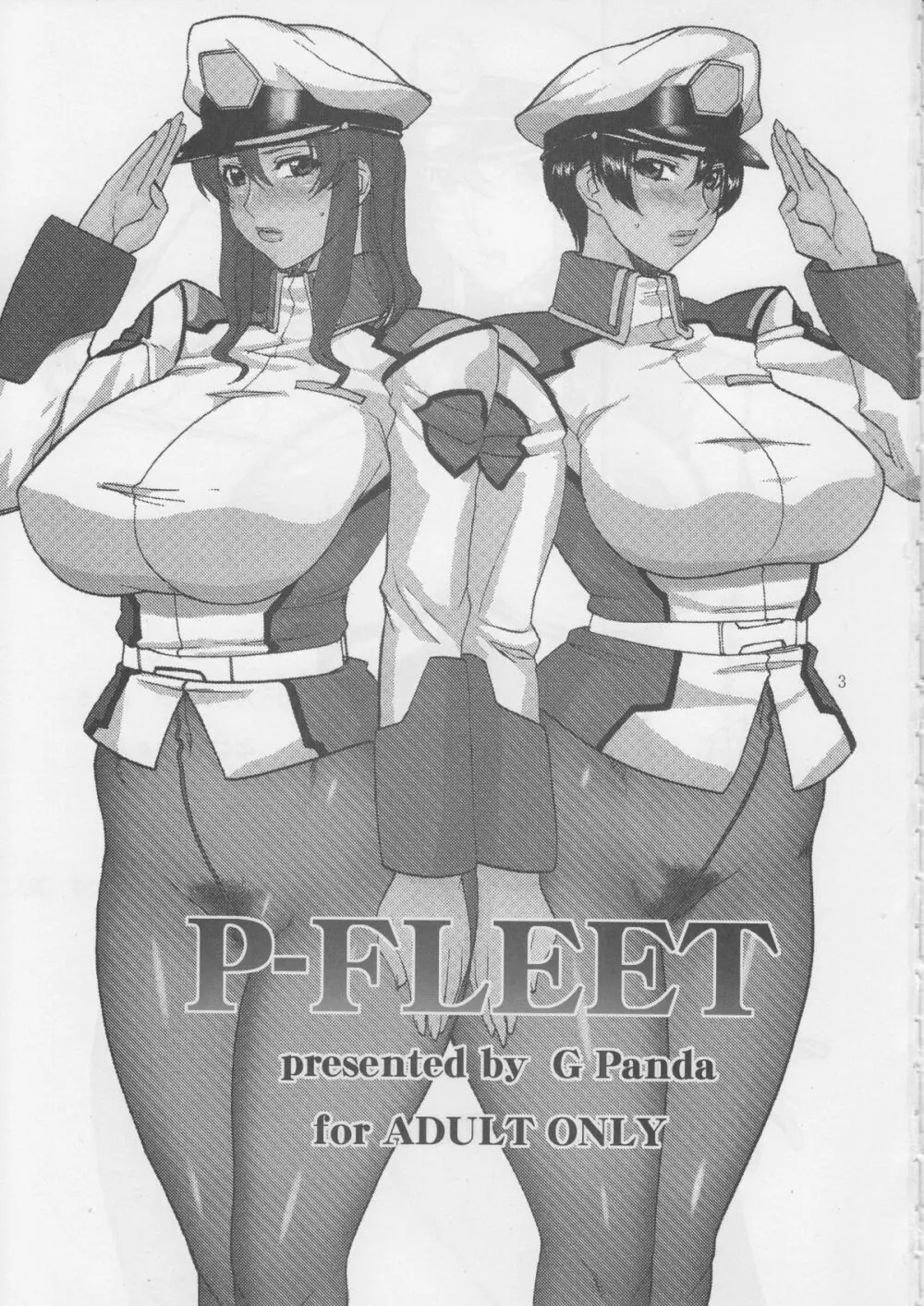 P-FLEET 2ページ