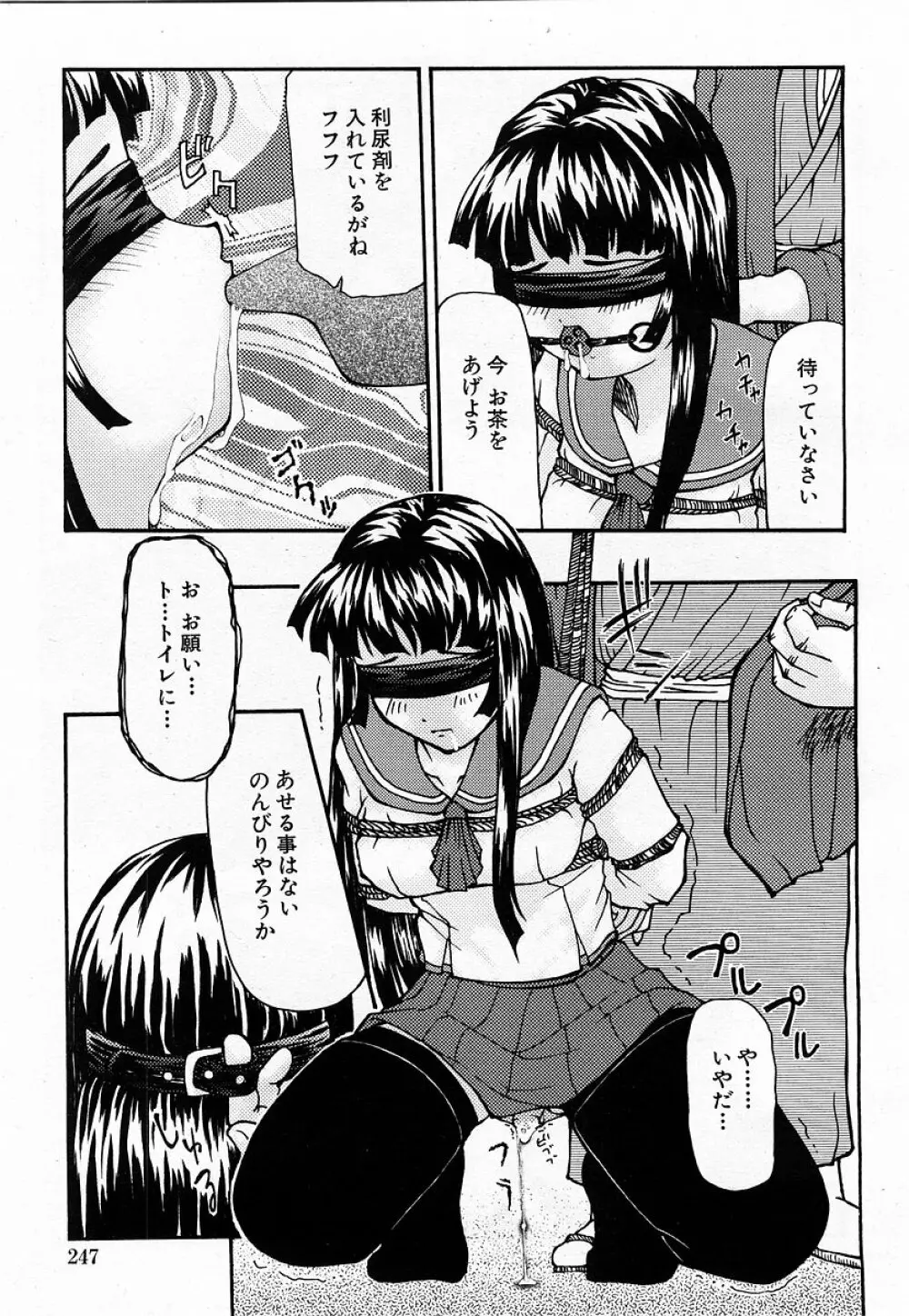 COMIC 萌絵姫 Vol.3 247ページ