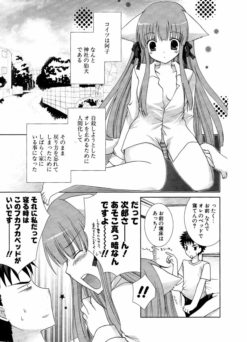 COMIC ポプリクラブ 2006年12月号 203ページ