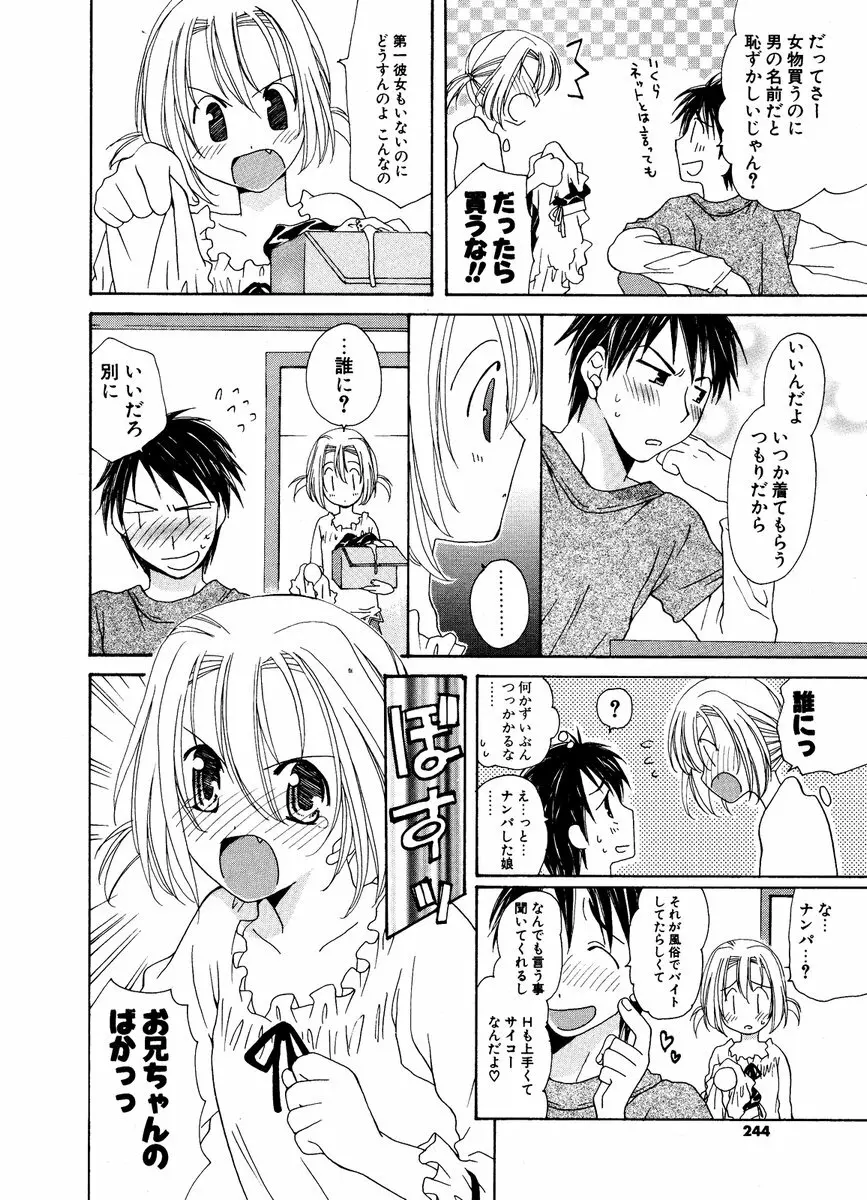 COMIC ポプリクラブ 2006年12月号 242ページ