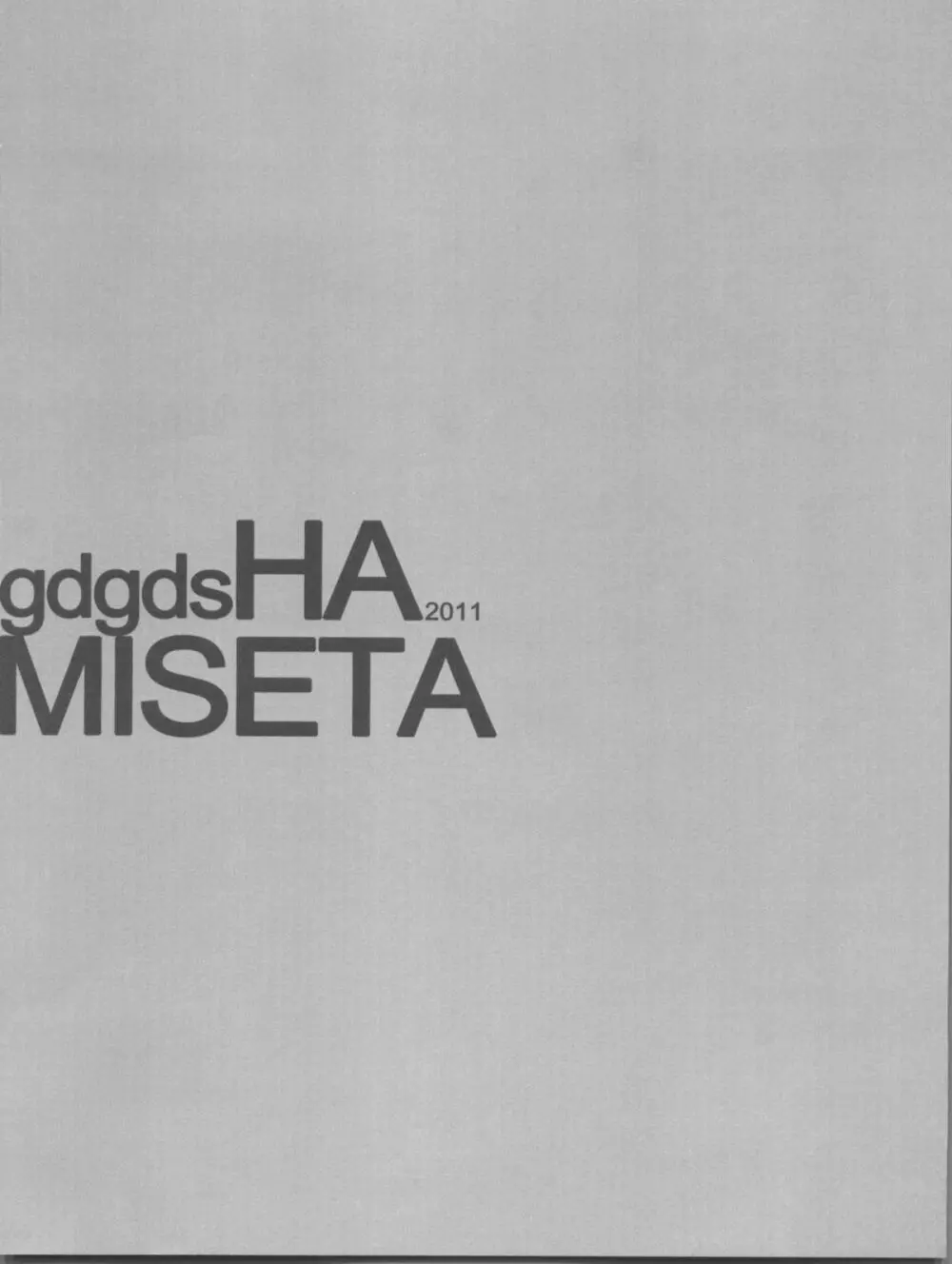 gdgdsHA MISETA 23ページ