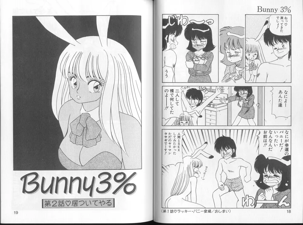 Bunny 3% 10ページ