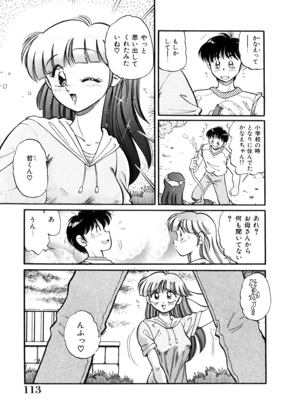 ときめき処女白書 114ページ