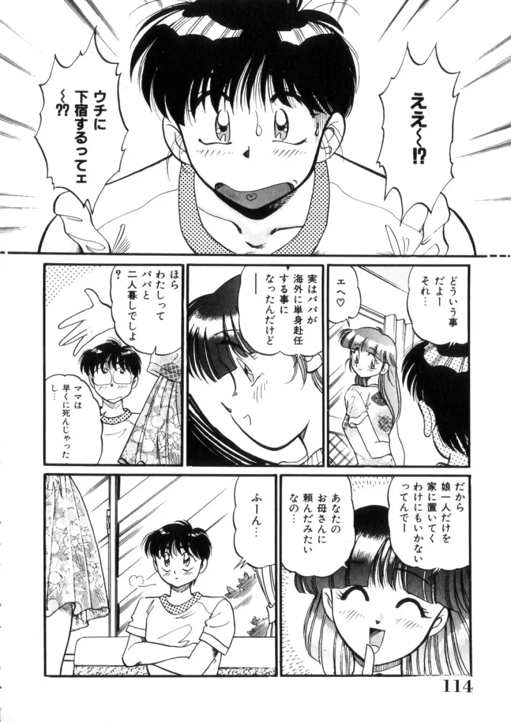 ときめき処女白書 115ページ