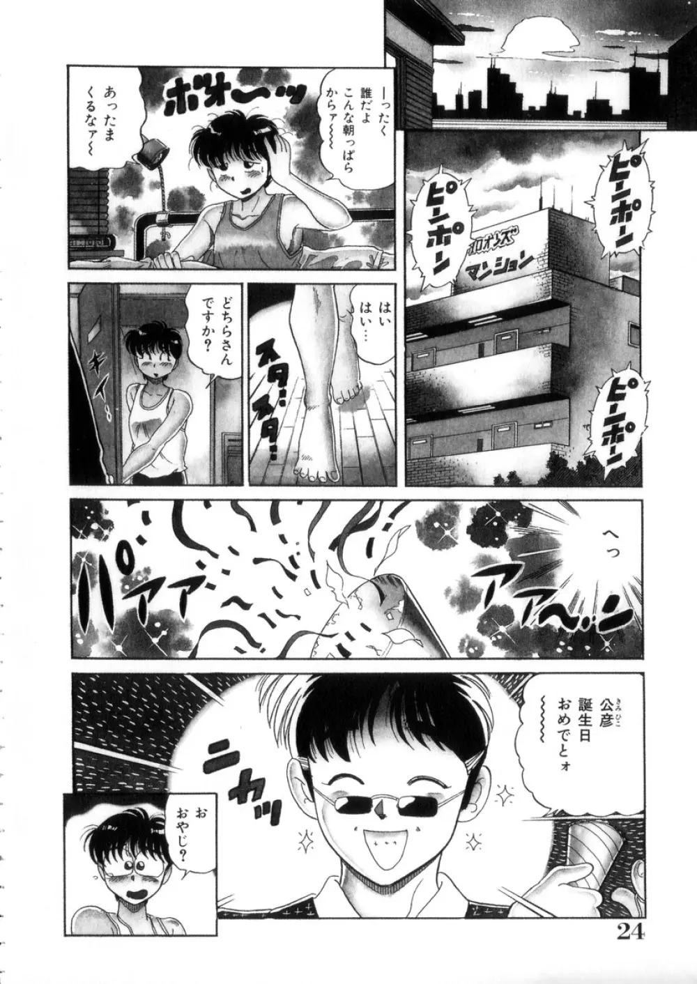 ときめき処女白書 25ページ