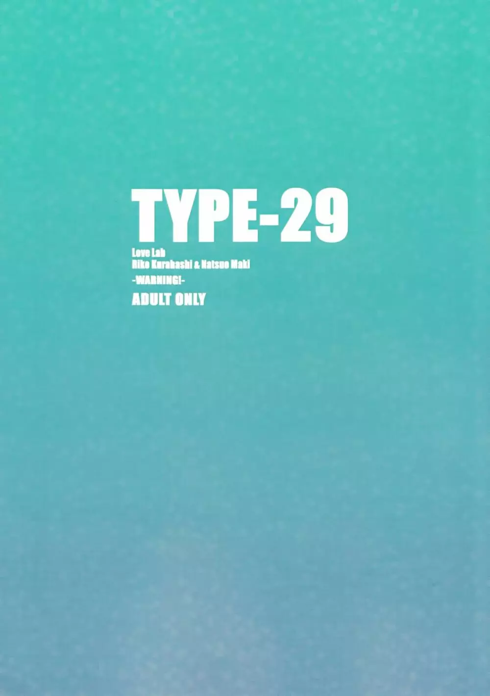 TYPE-29 2ページ