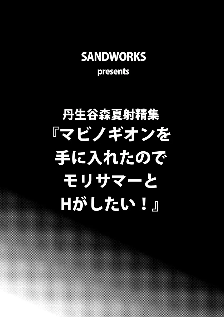 マビノギオンを手に入れたのでモリサマーとHがしたい! 2ページ