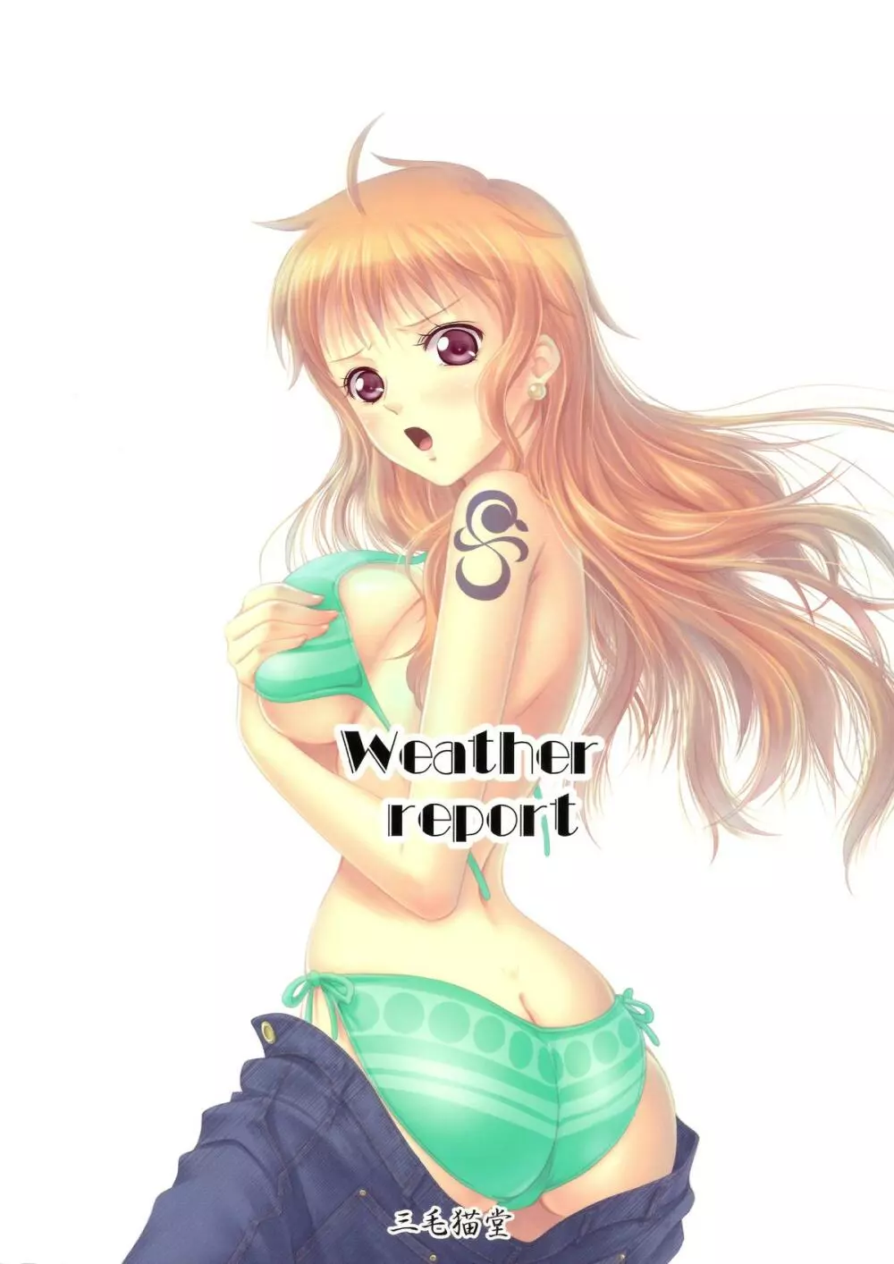 Weather report 2ページ