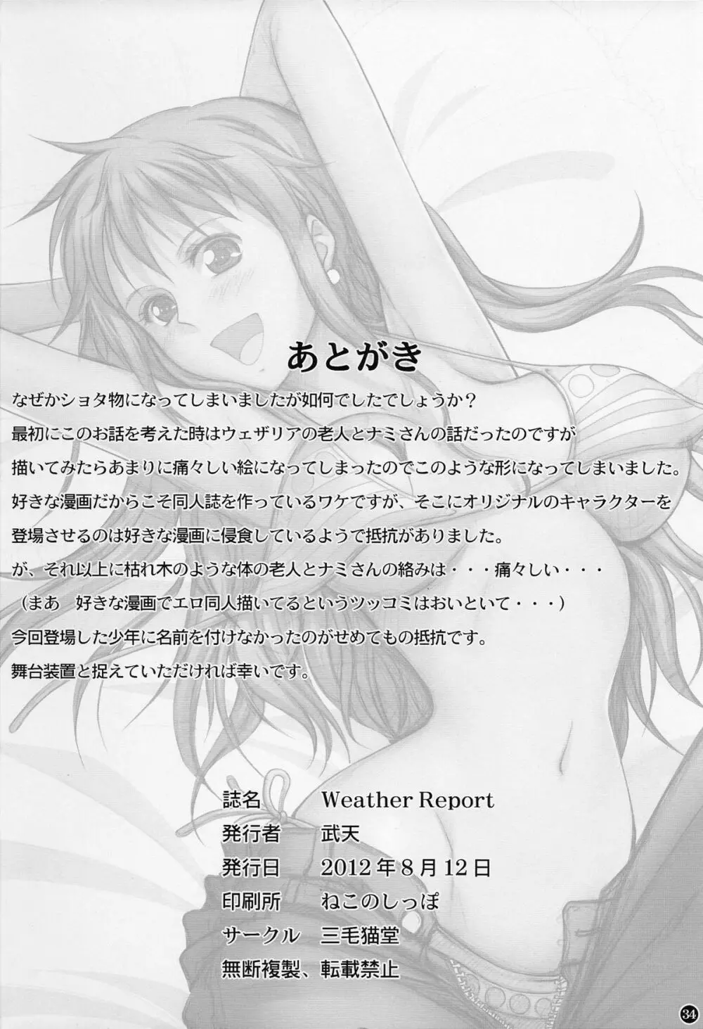 Weather report 34ページ