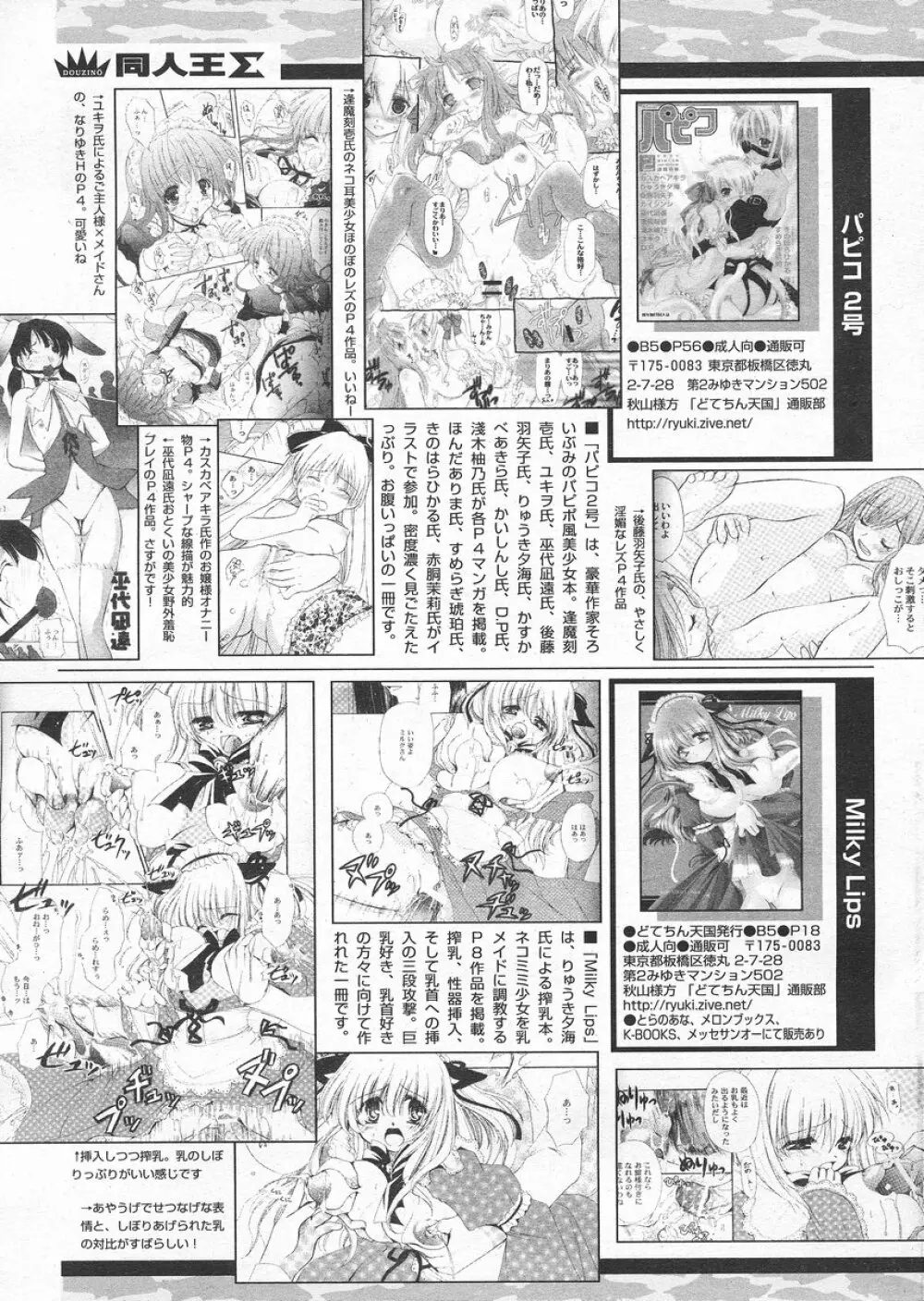 COMIC パピポ 2005年4月号 241ページ