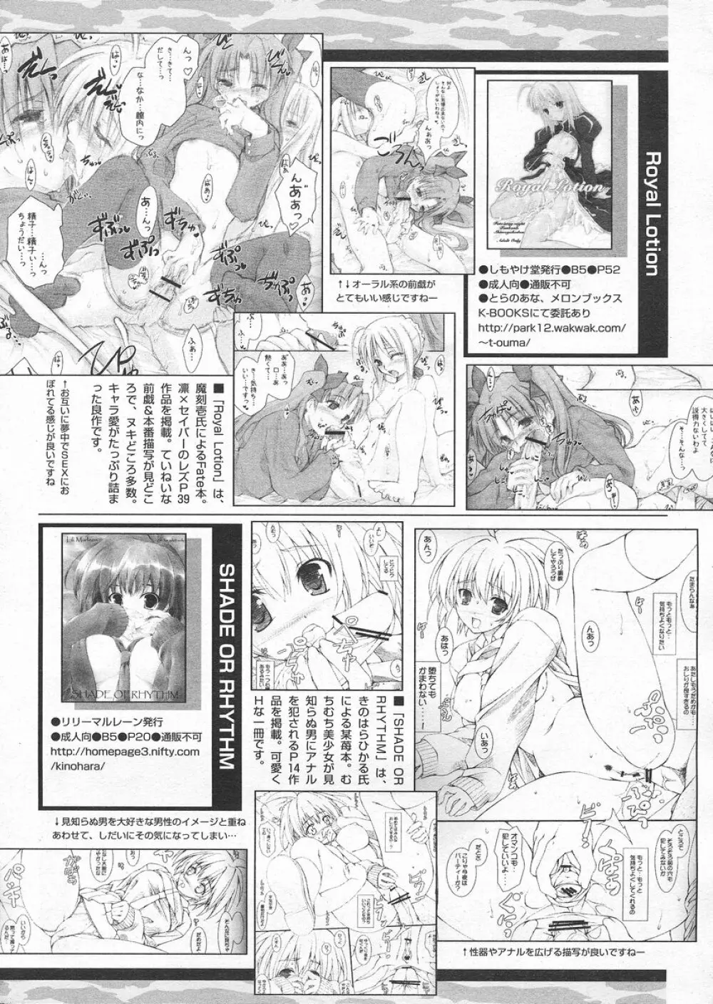 COMIC パピポ 2005年4月号 244ページ