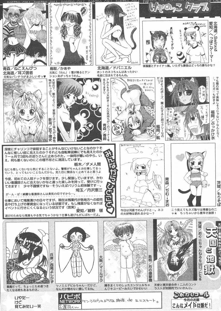 COMIC パピポ 2005年1月号 256ページ