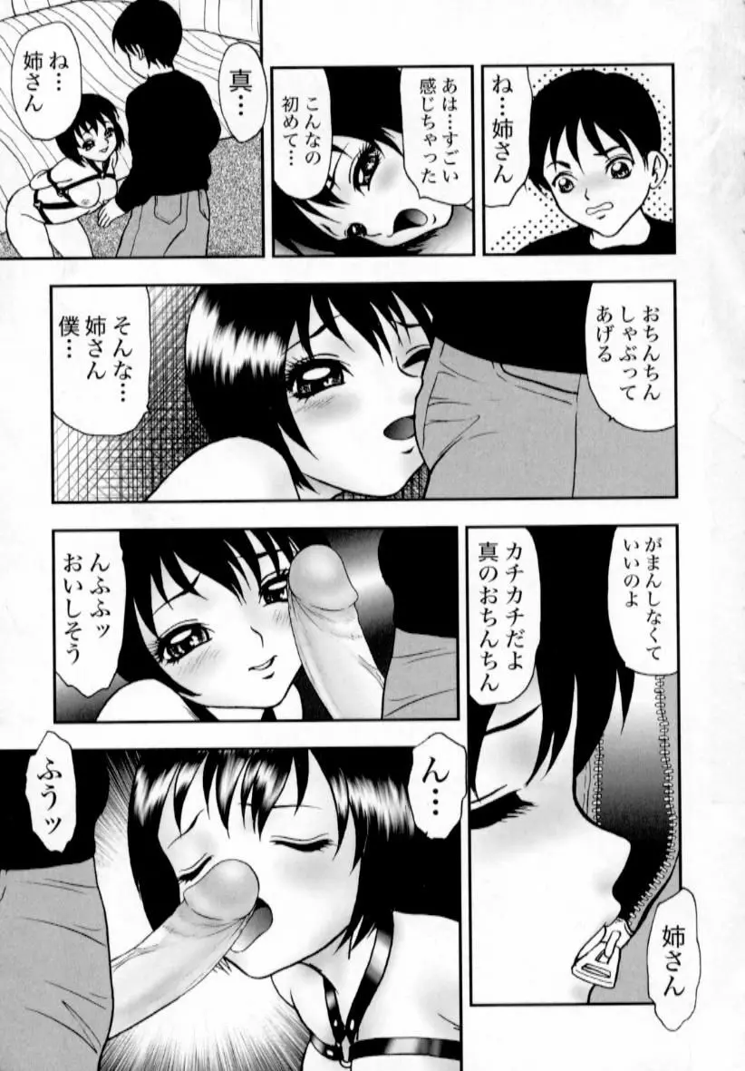 肉蜜の淫罪 176ページ