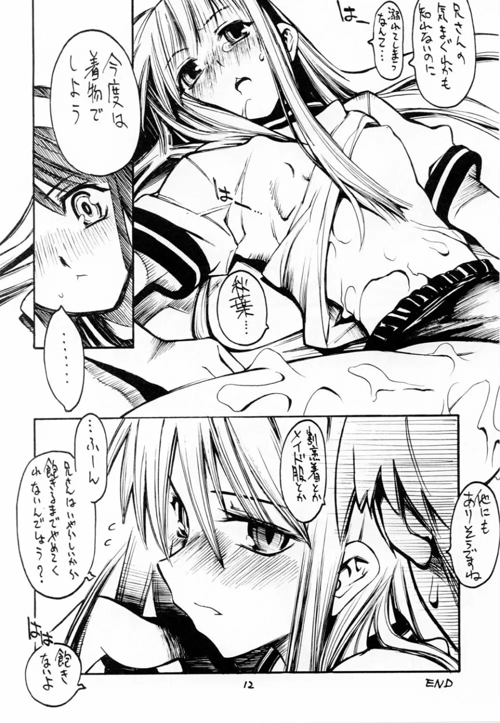 (浅上祭) [黒鬚 (東雲太郎、ポンビキ) 散華 (月姫) 11ページ