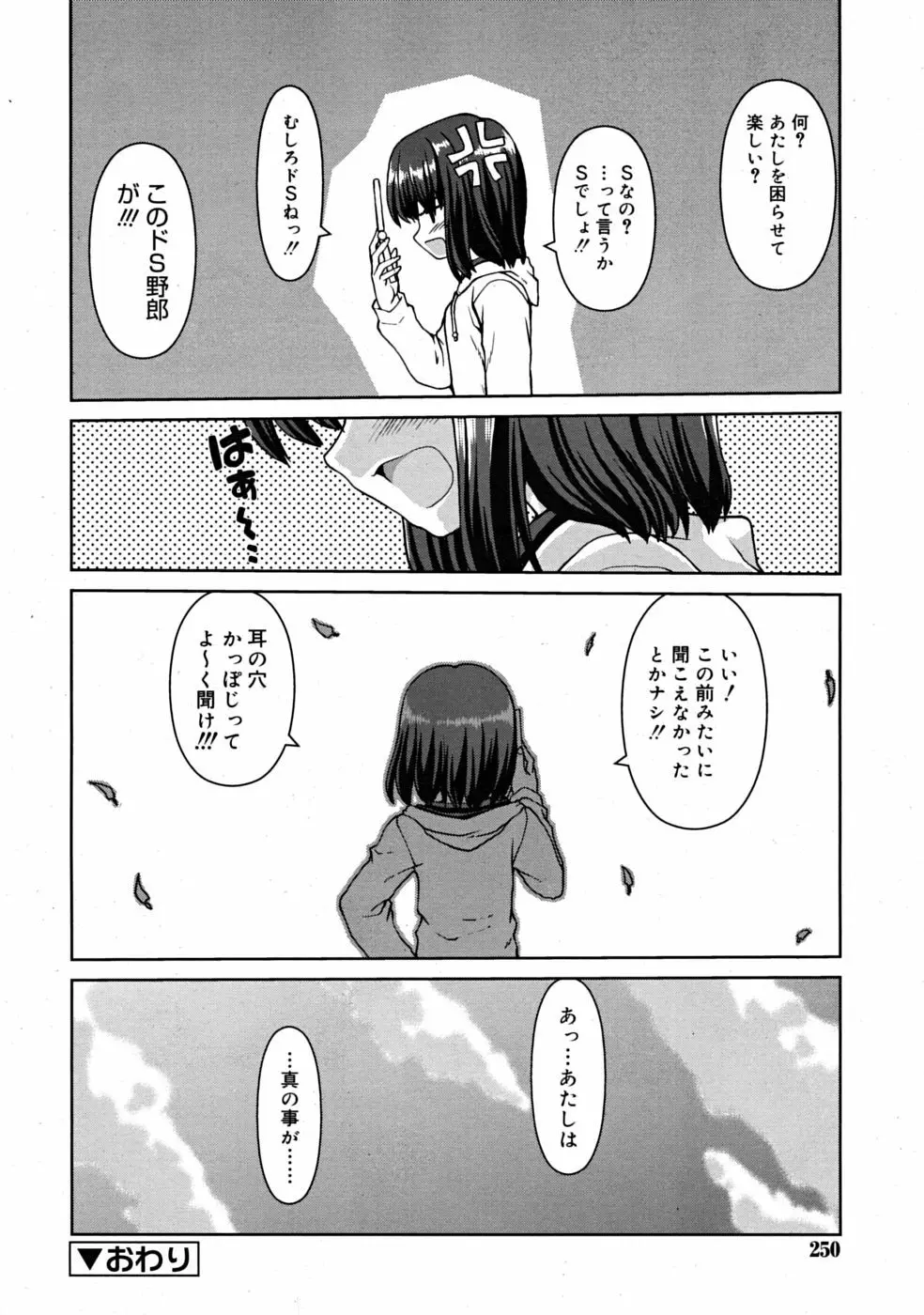 Comic RiN 2008-12 250ページ