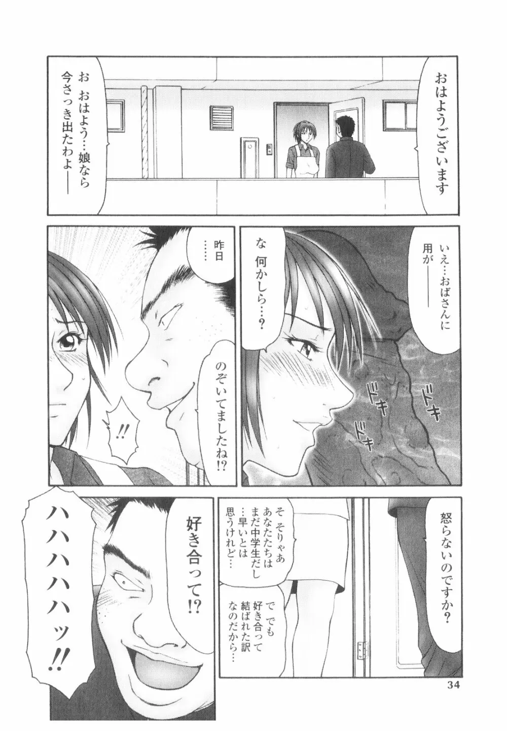 プラチナ Vol.2 33ページ