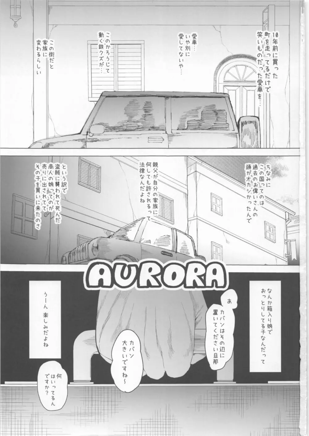 AURORA 3ページ