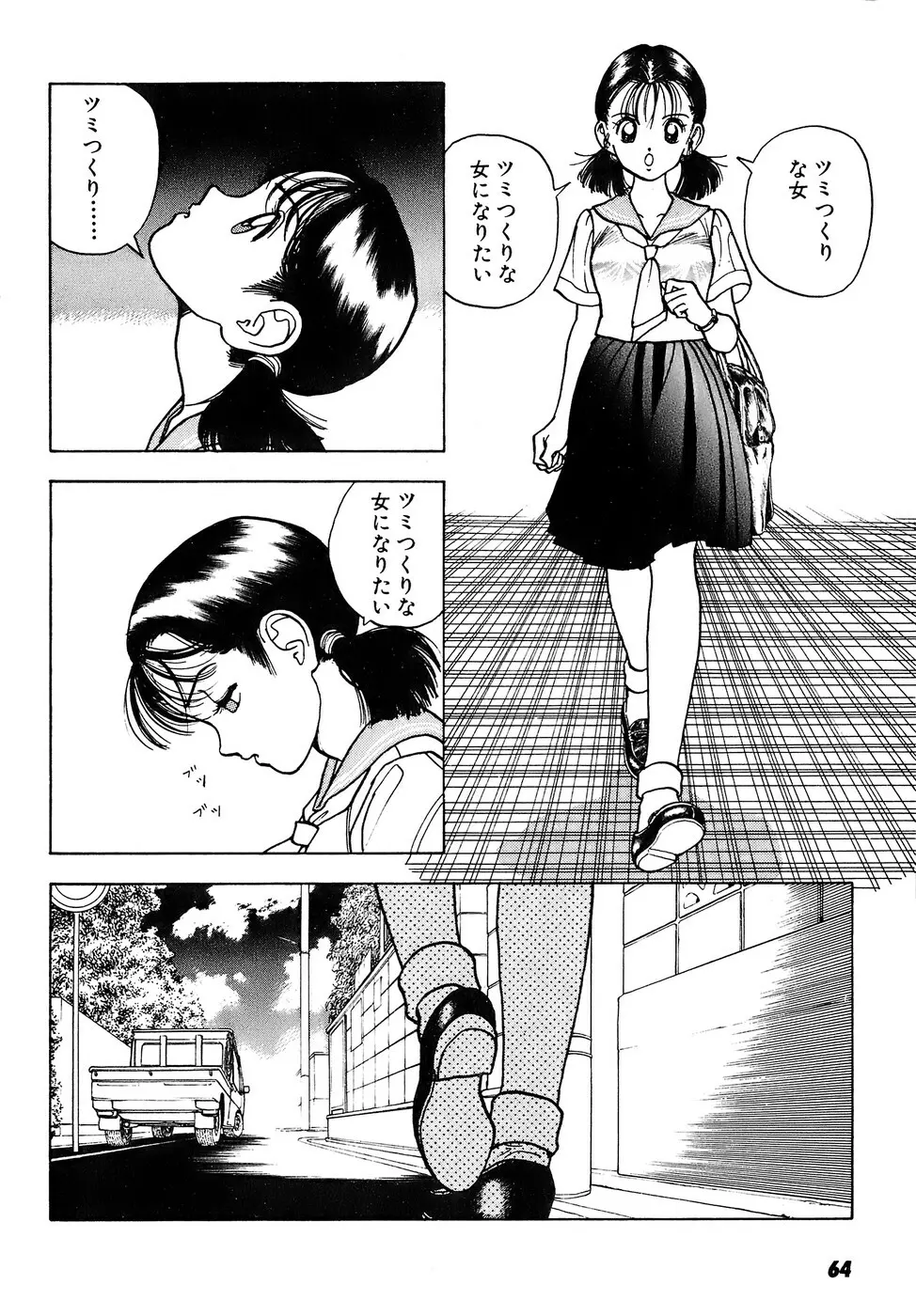 彼女の陰謀 2 65ページ