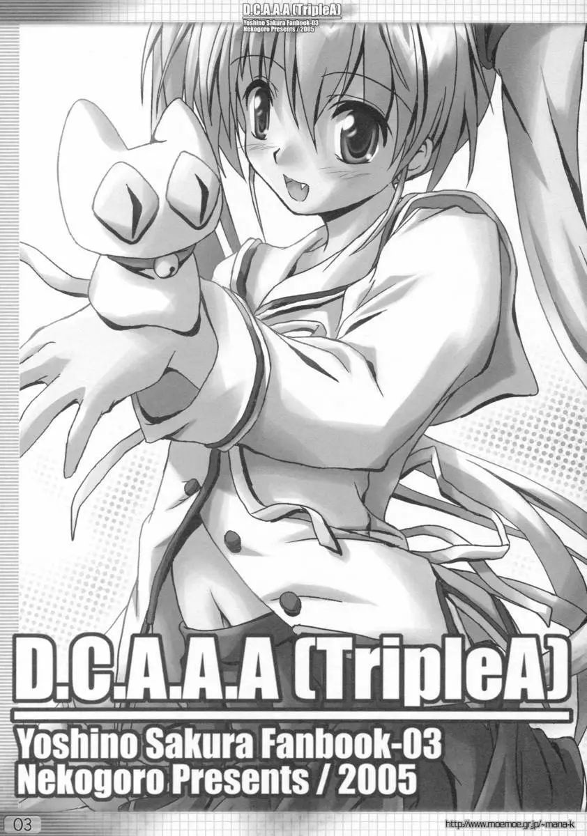 D.C.A.A.A 2ページ