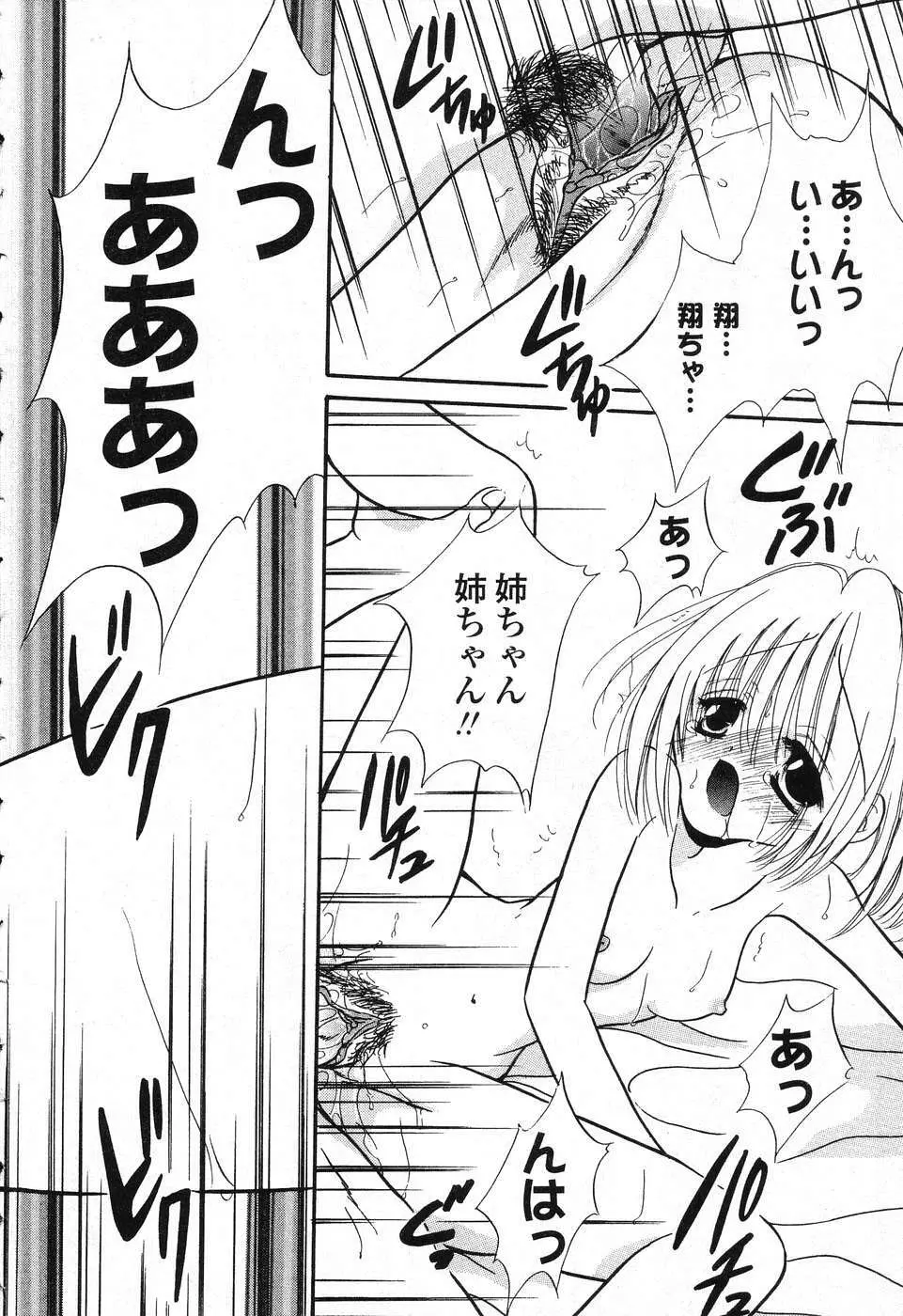 ぴゅあぷちっと Vol. 25 113ページ