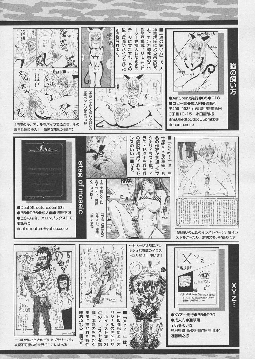 COMIC パピポ 2005年03月号 246ページ