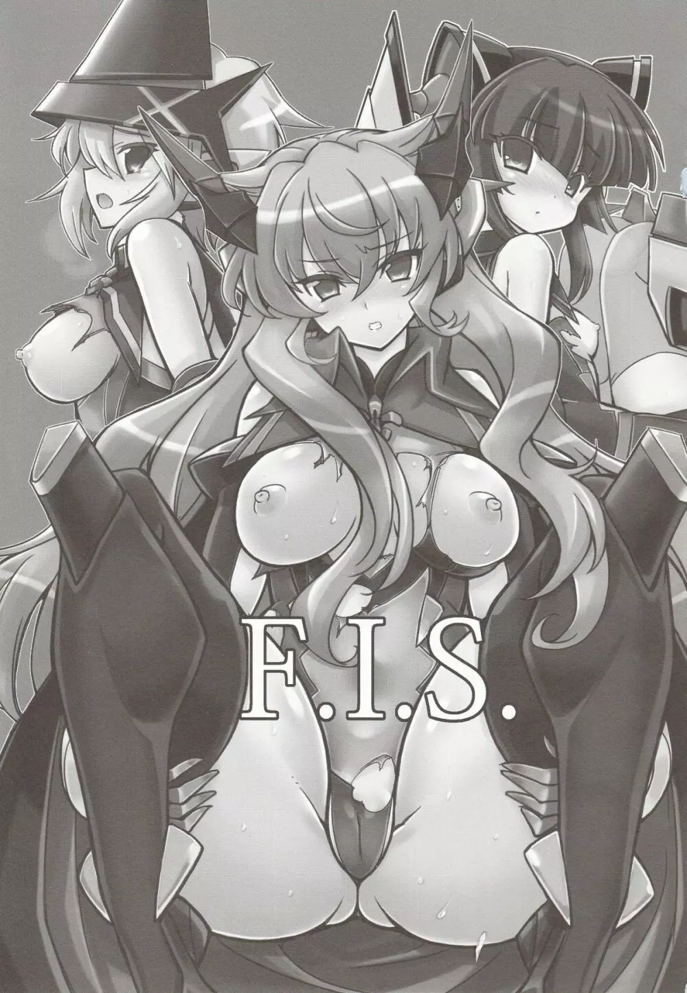 F.I.S. 2ページ