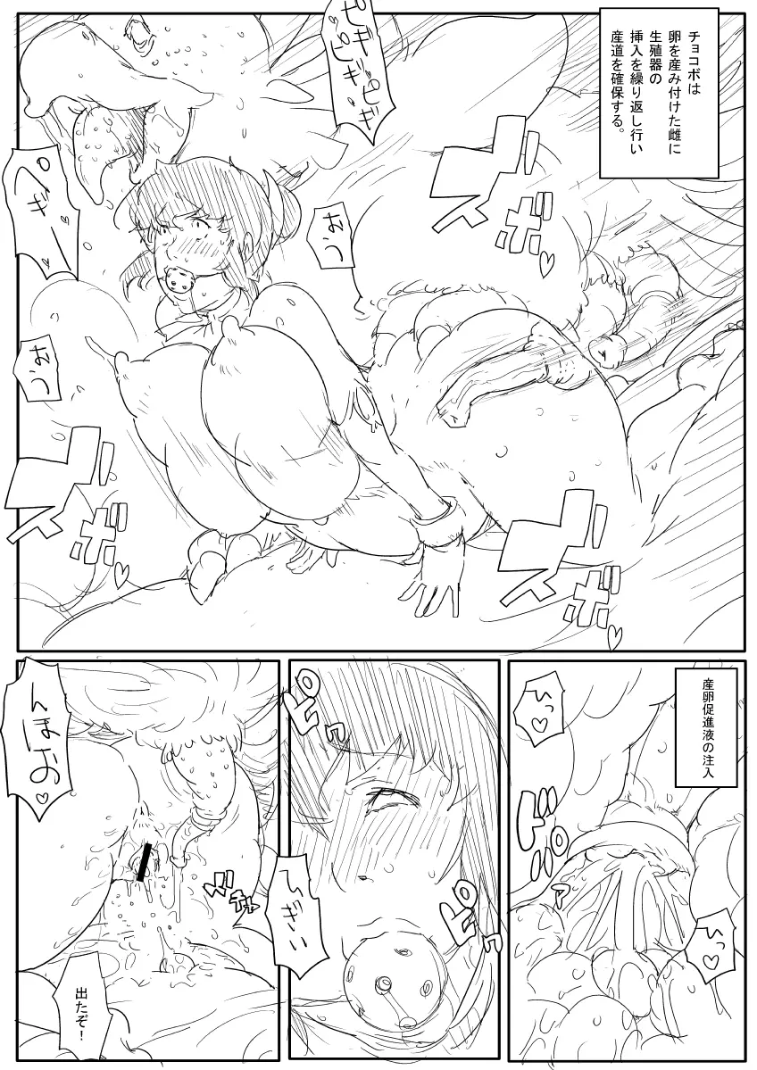 お姉さんの漫画 14ページ