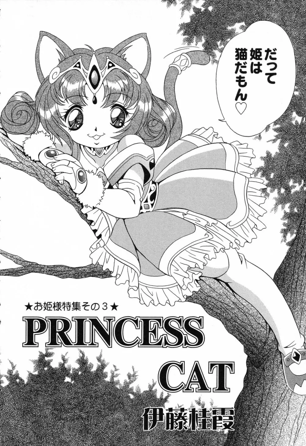 ぴゅあぷちっと Vol.17 お姫様特集 65ページ